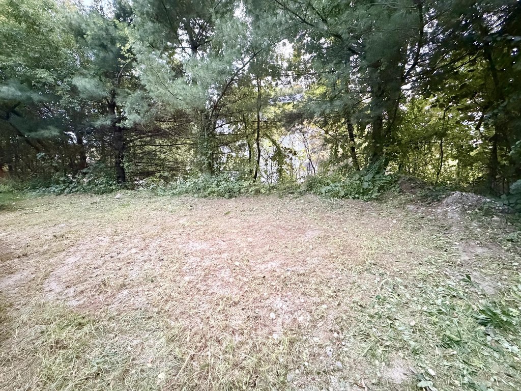 Picture 40