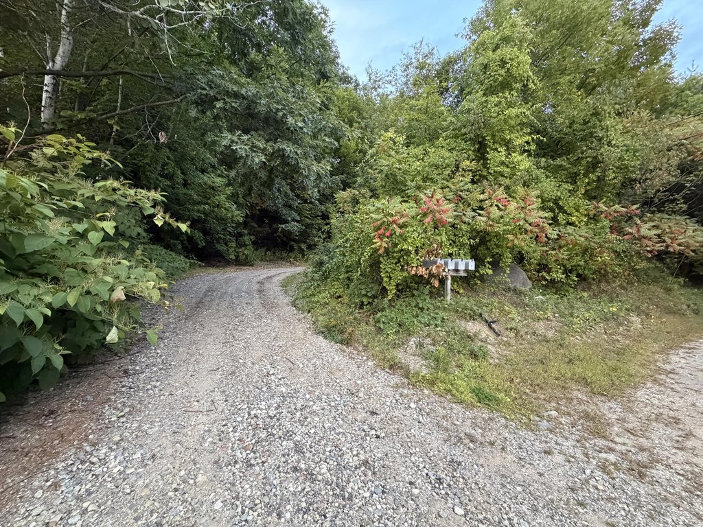 Picture 38