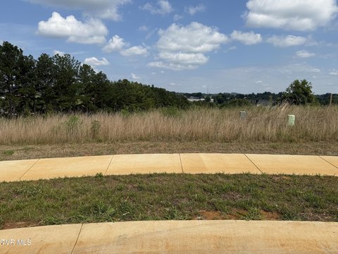 Residential Land in Johnson City