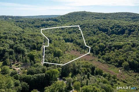 Forested Land with Stream
