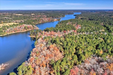 Dockable Acreage on Clark's Hill Lake