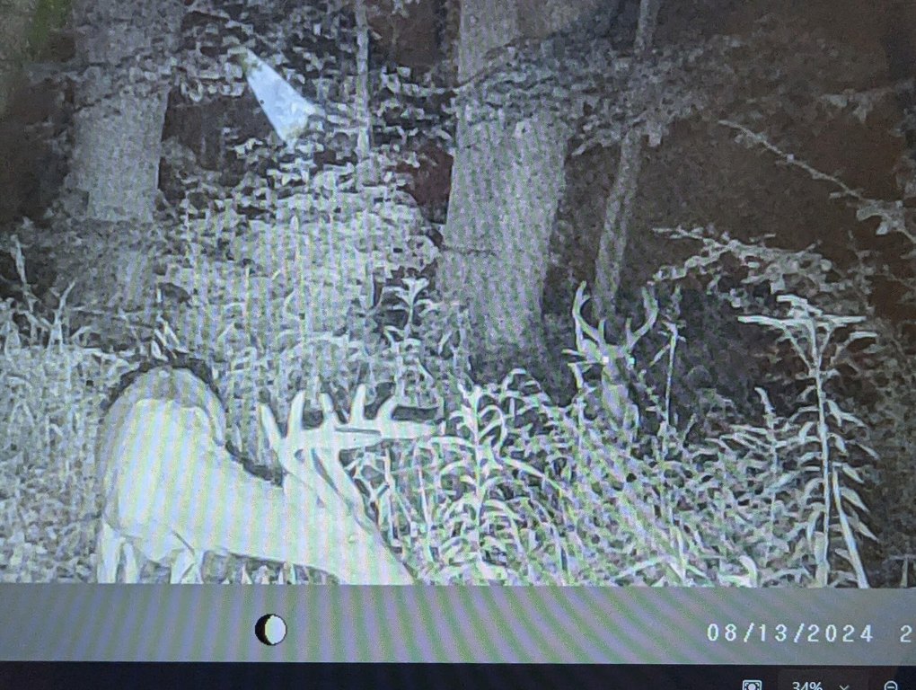 Picture 5