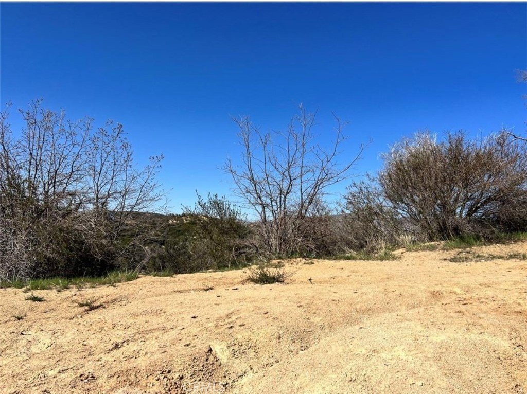 Land with Mountain Views