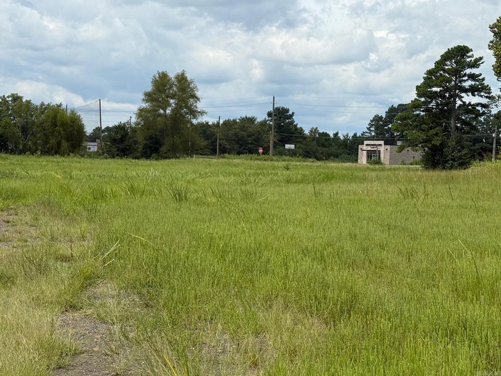 Picture 7