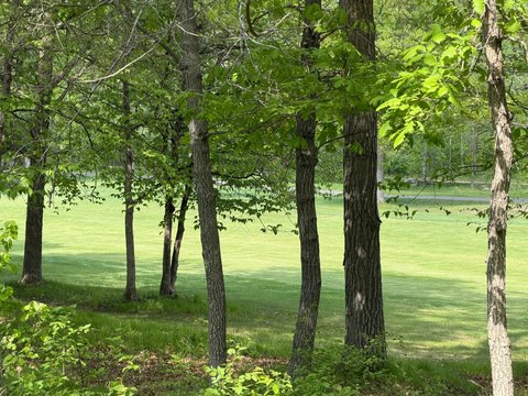 LAND - Pequot Lakes, MN