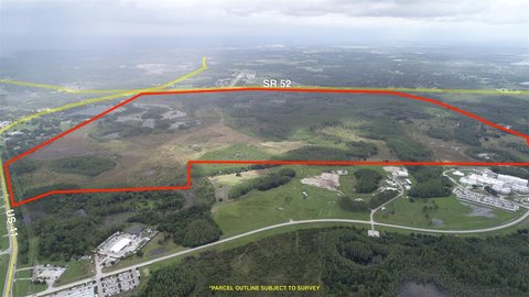 Conservation Land with Mitigation Bank