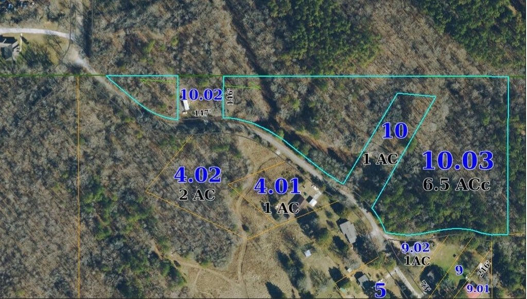Picture 3