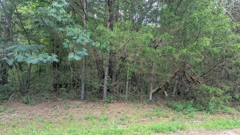 LAND - Guntown, MS