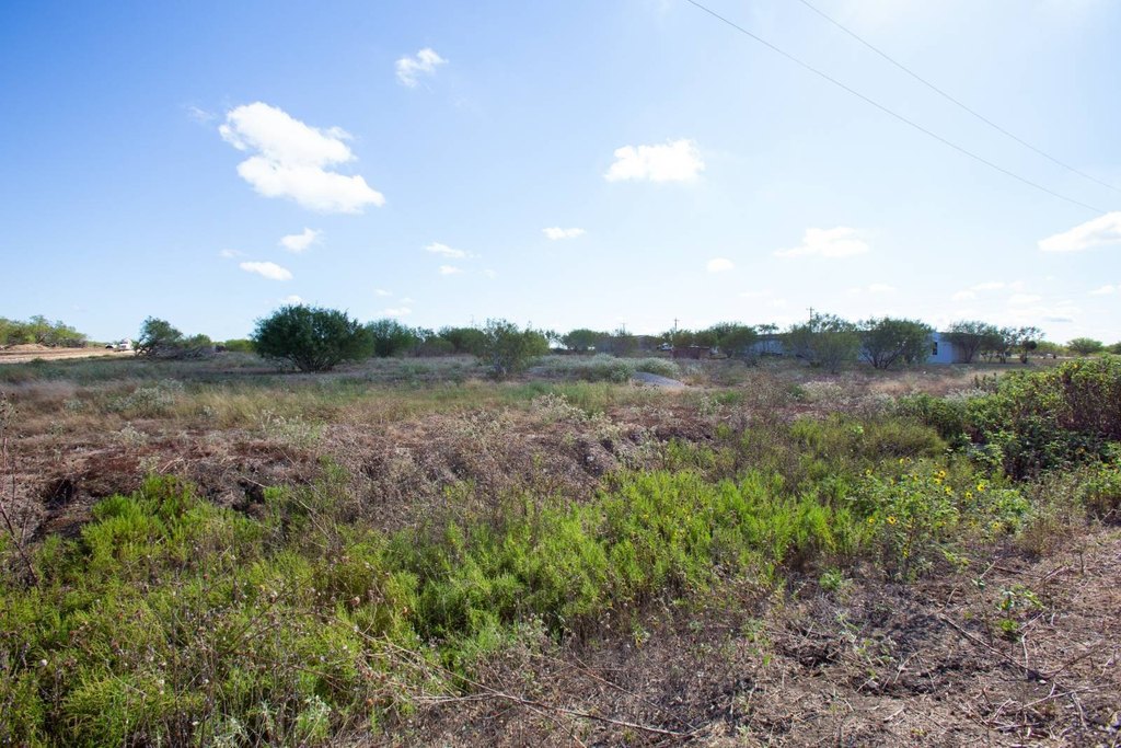 Picture 21