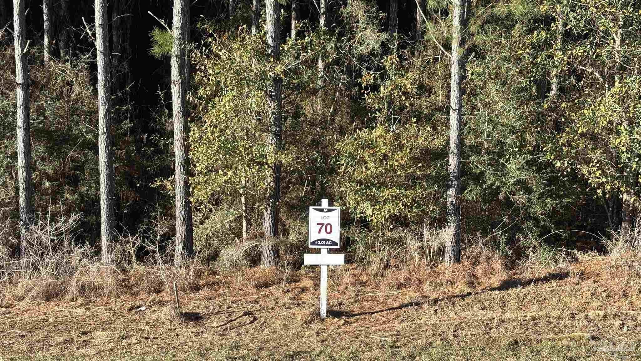 Allentown Land Parcel For Sale