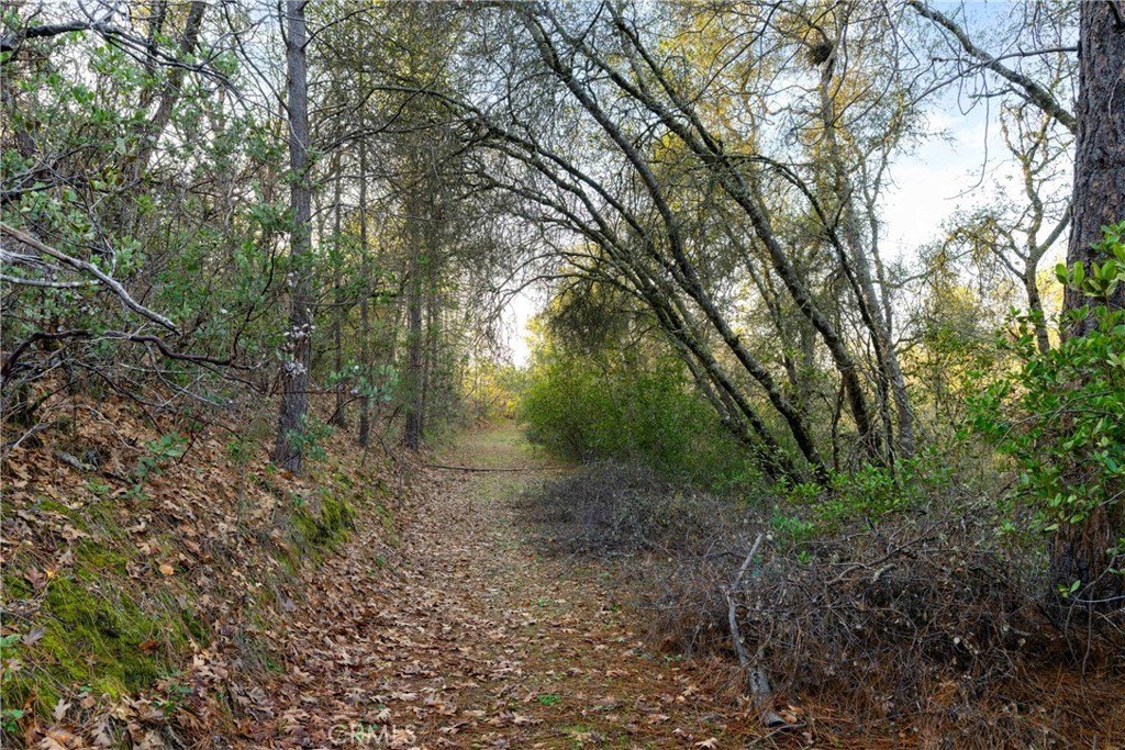Picture 21