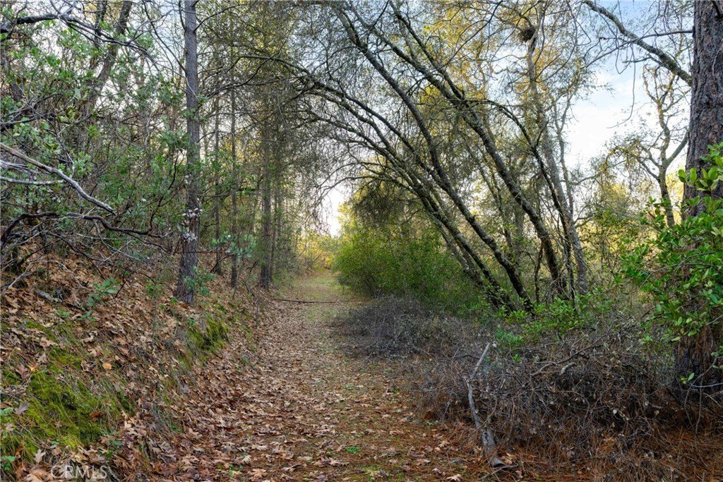 Picture 21