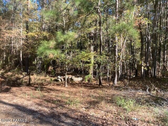 36 Acre Woodland Tract