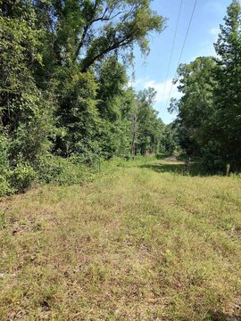 80 Acres Hunting Land