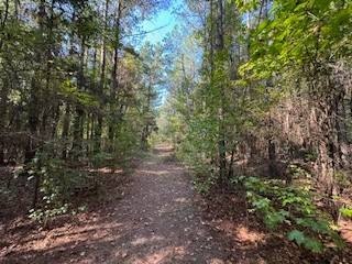 Hunting Land with Home Site