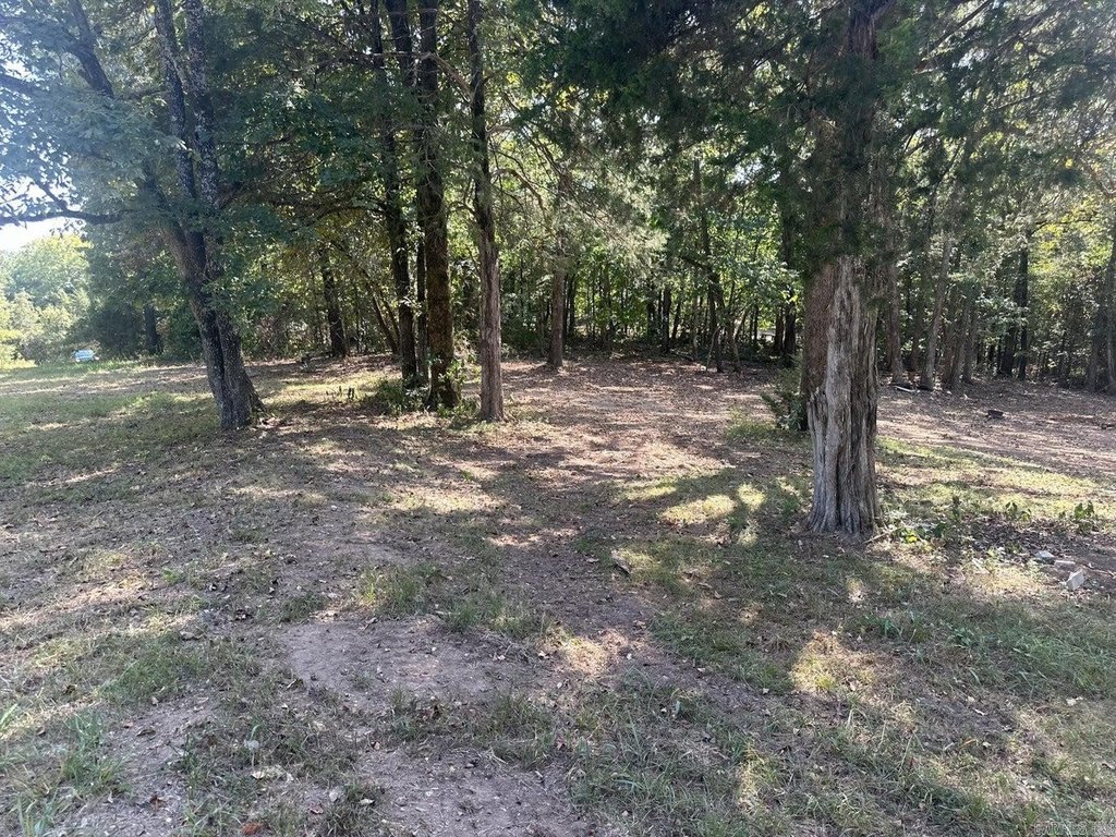 Picture 17