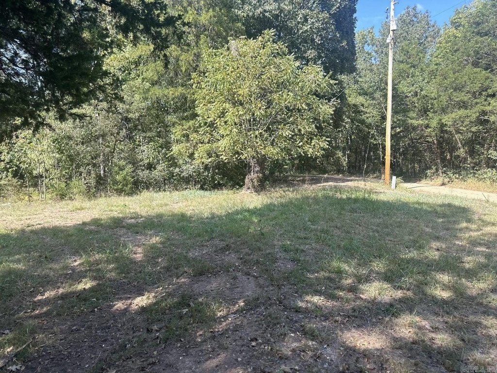 Picture 18