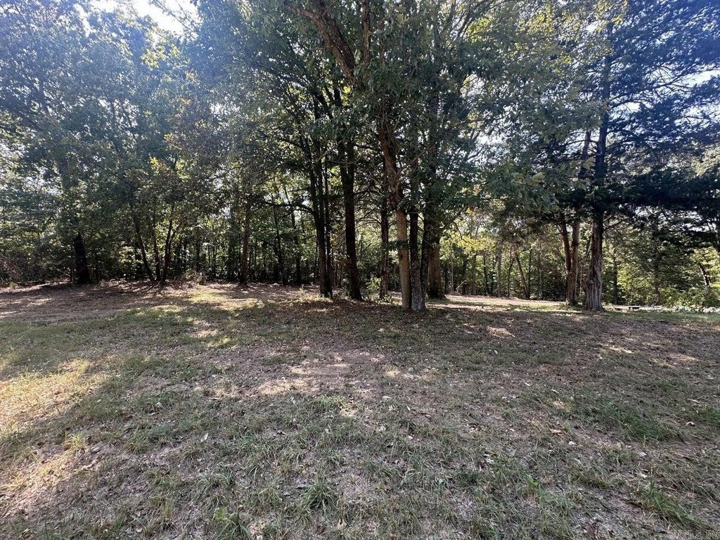 Picture 11