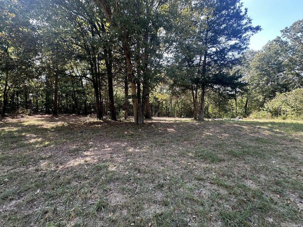 Picture 10