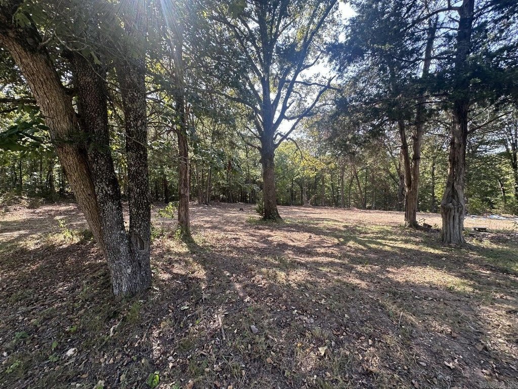 Picture 13