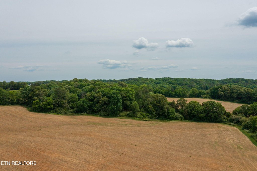 Picture 24