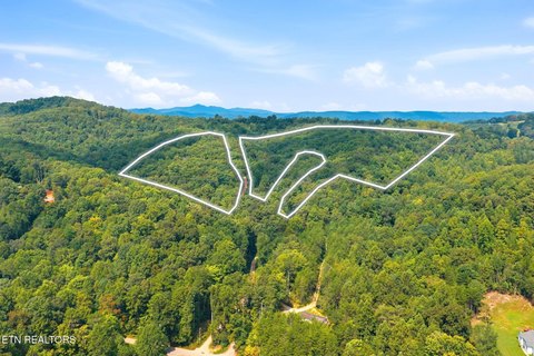 Lots & Acreage, LaFollette, TN