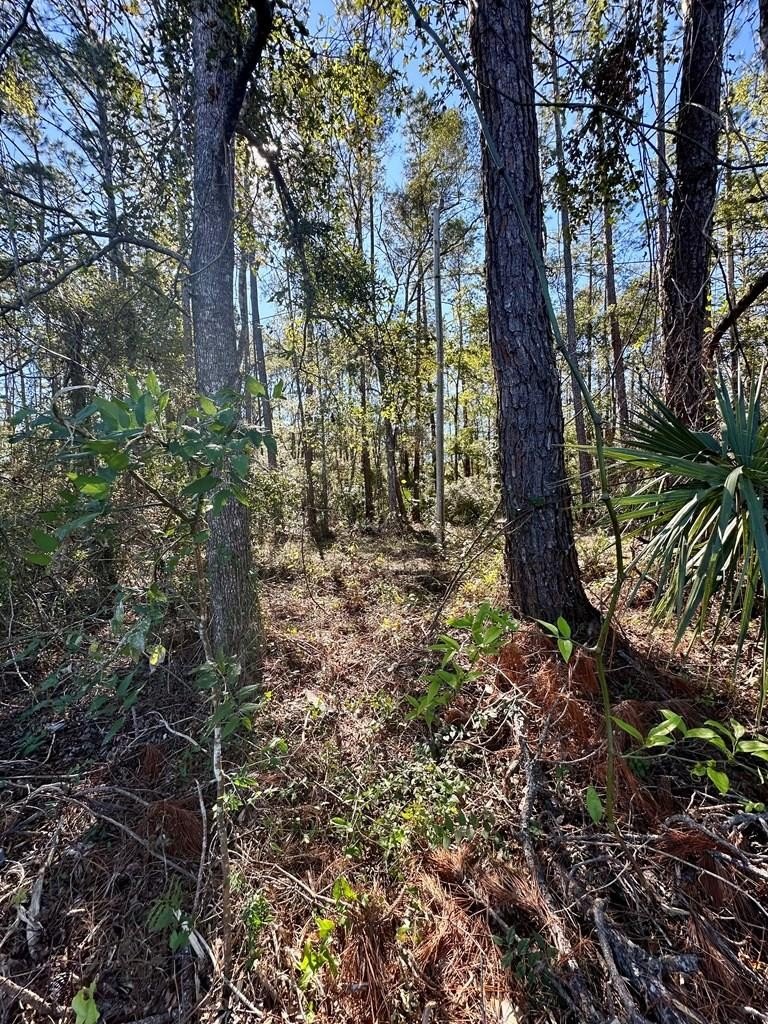 Cross City Commercial Land Parcel