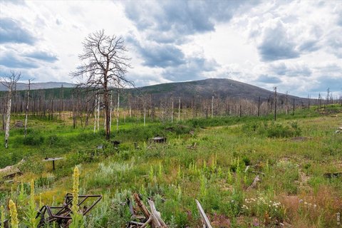 Land, Bellvue, CO