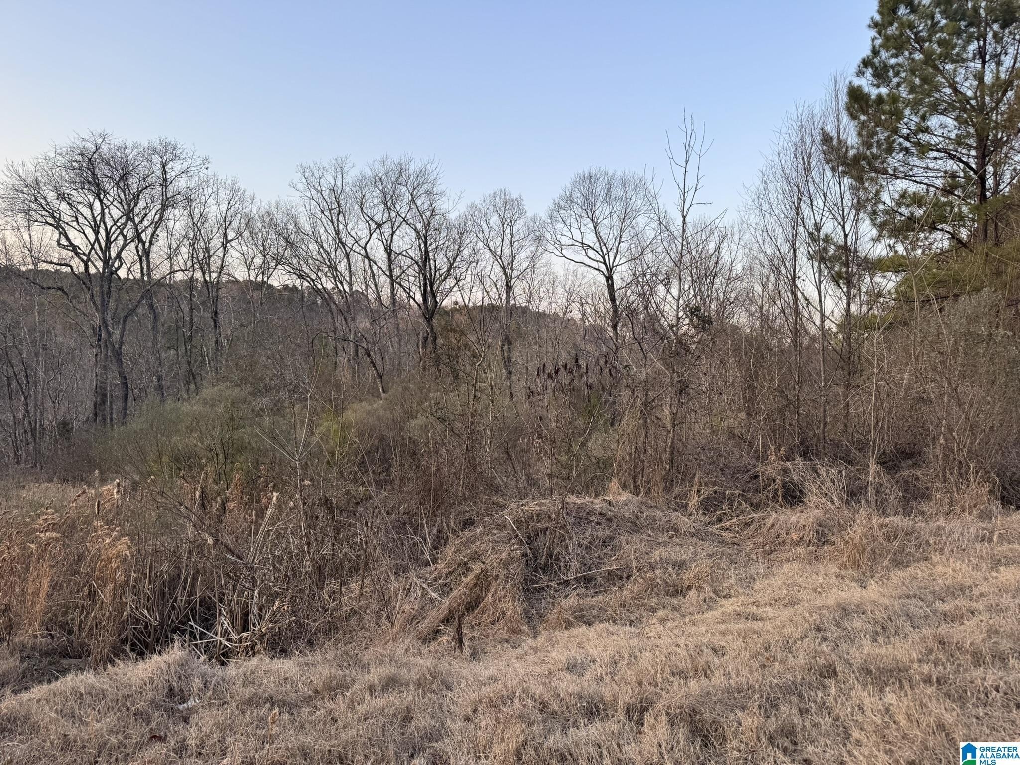 Raw Land with River View