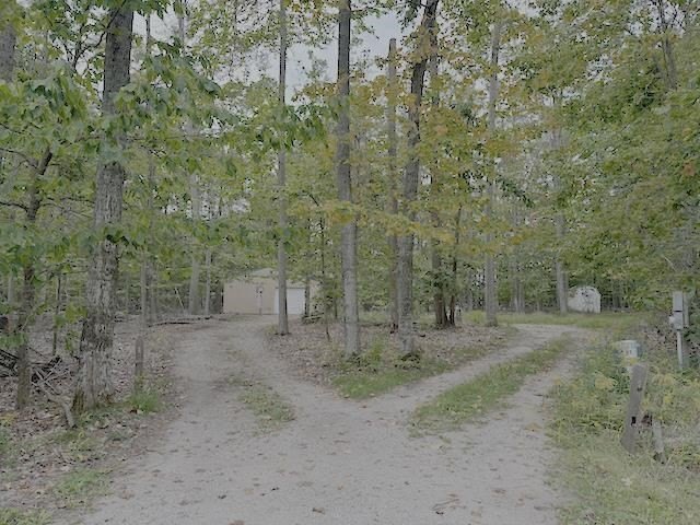Picture 3