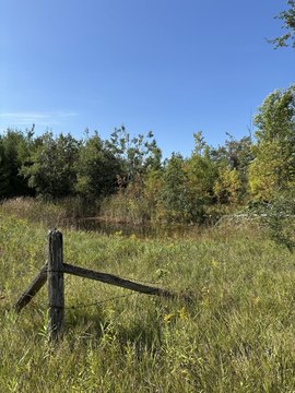 Wooded Land with Pond