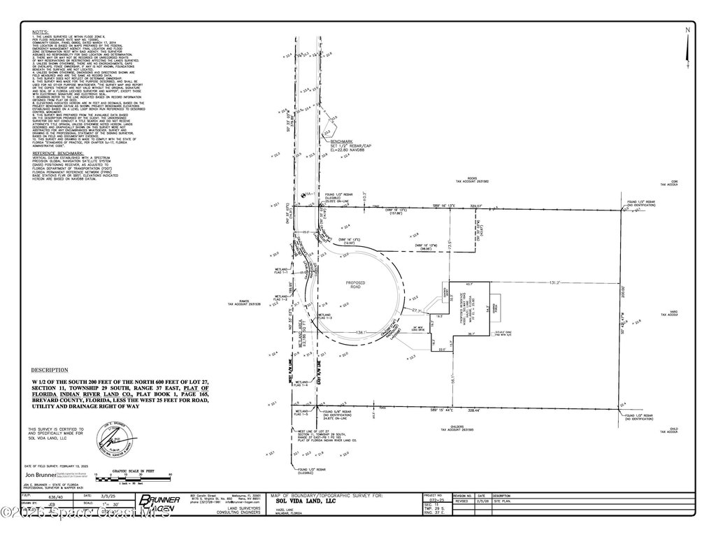 Picture 5