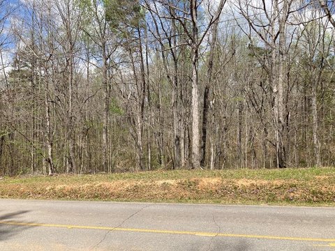 27 Acre Wooded Land