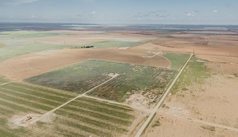 11 Acre Lots Near Levelland