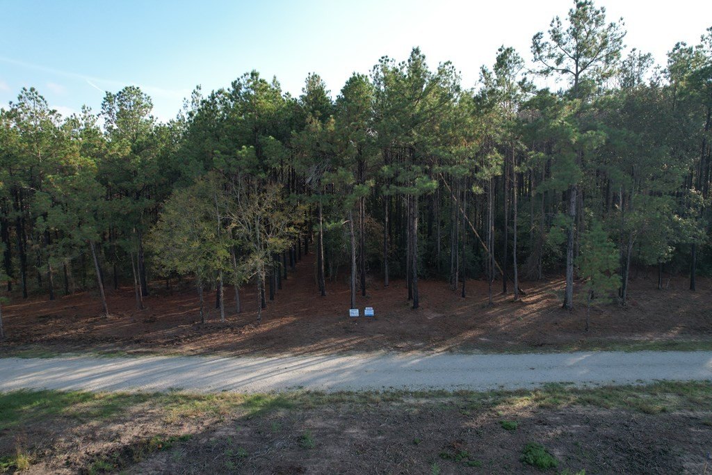 Picture 13