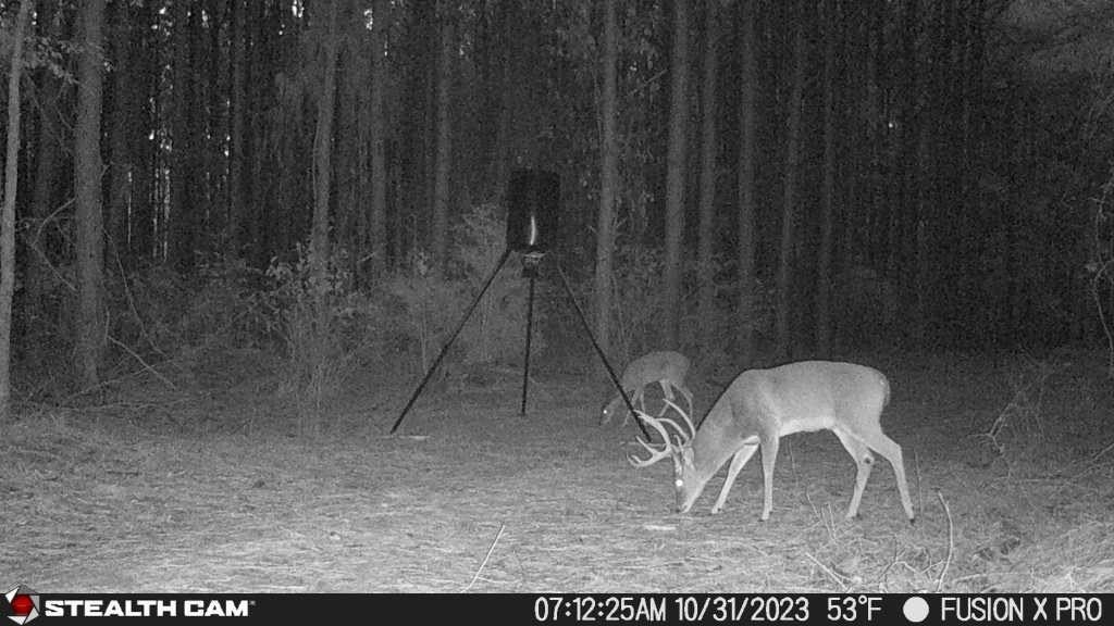 Picture 5