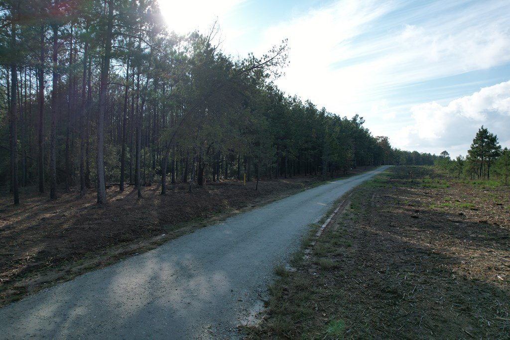 Picture 11