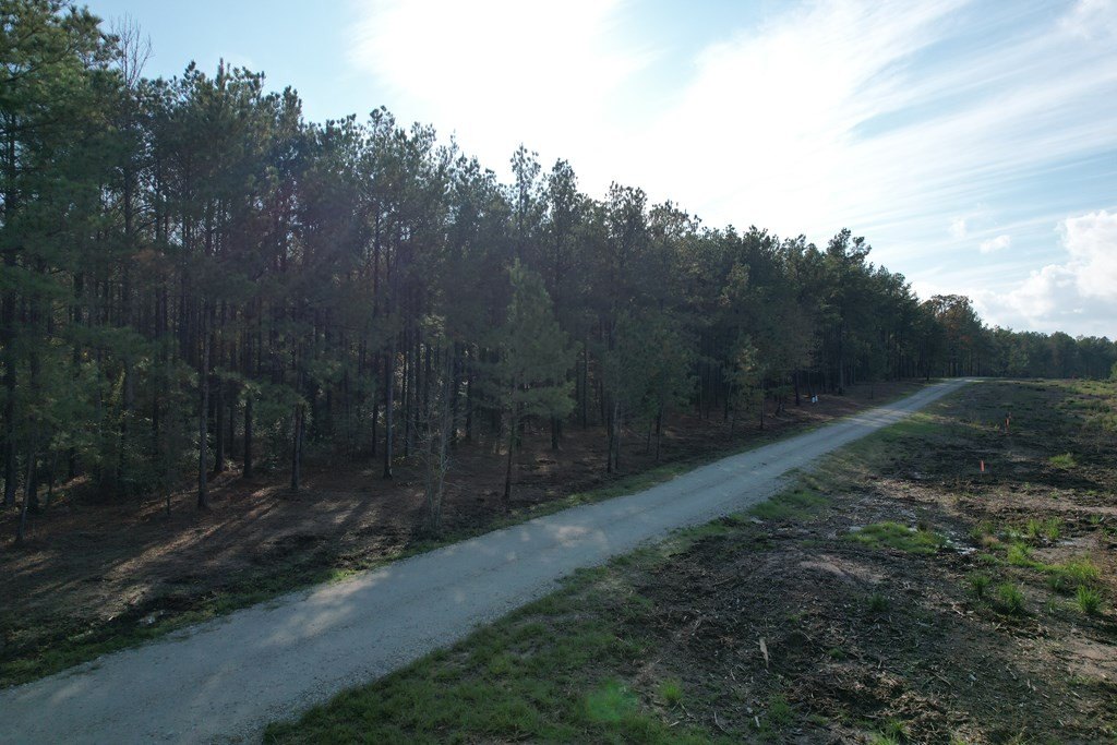 Picture 12