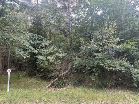 Land, Stanwood, MI