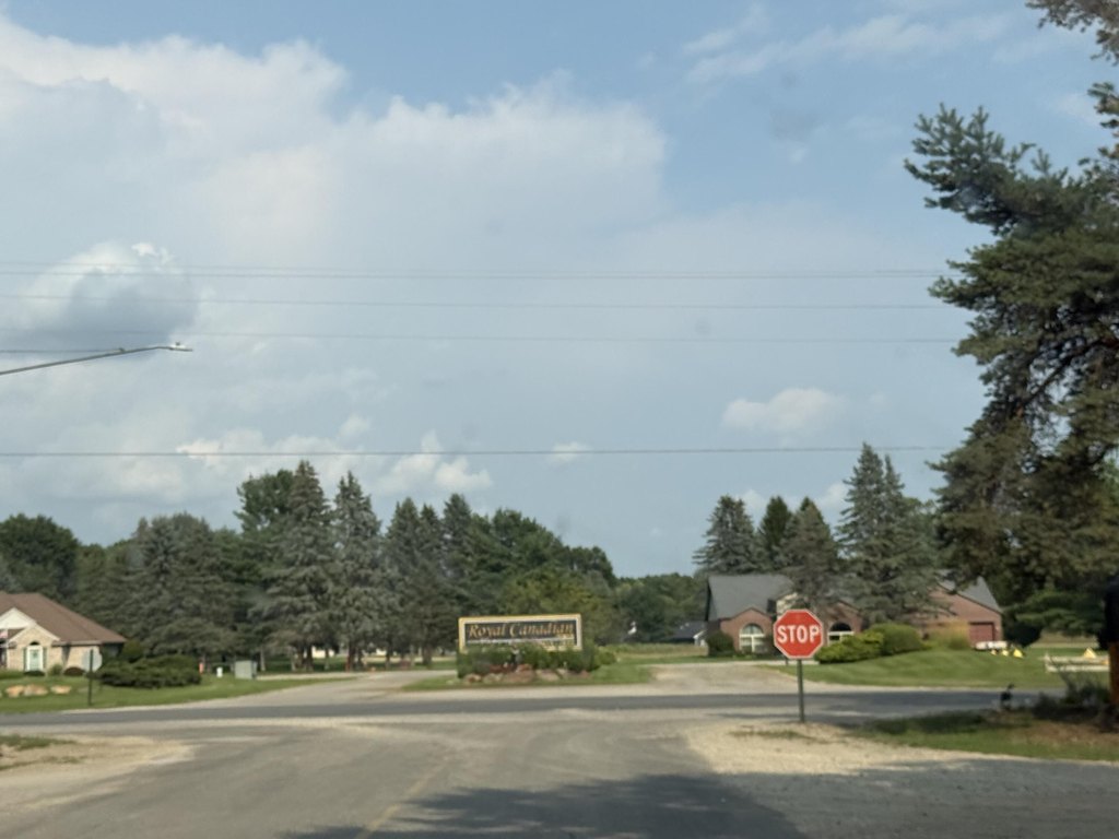 Picture 7