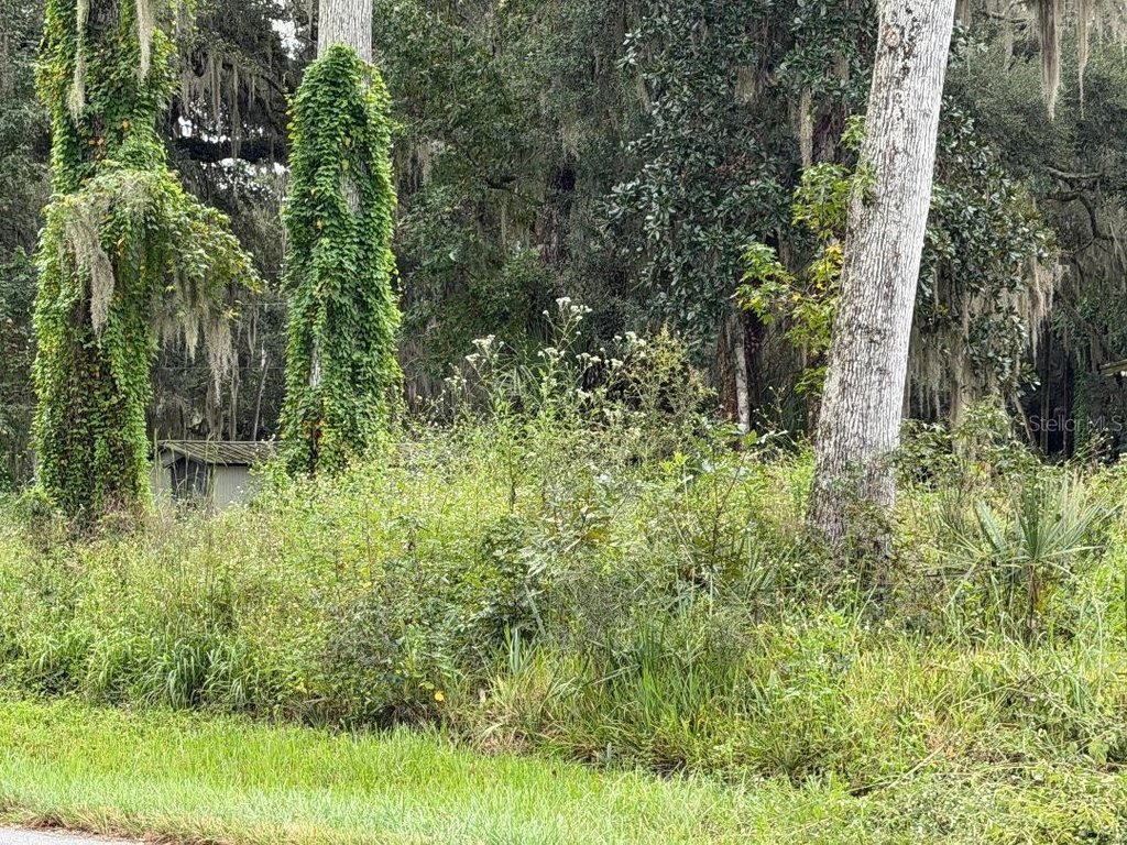 Picture 4