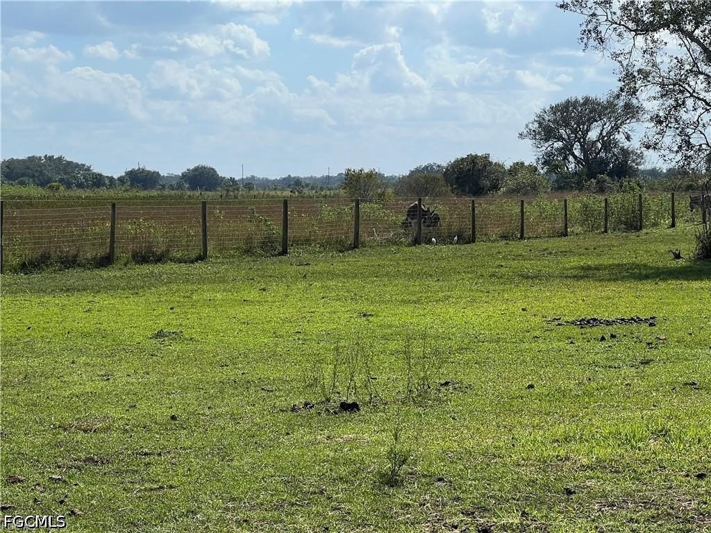 Picture 4