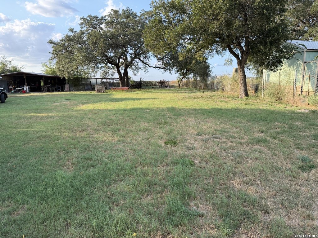 Picture 5