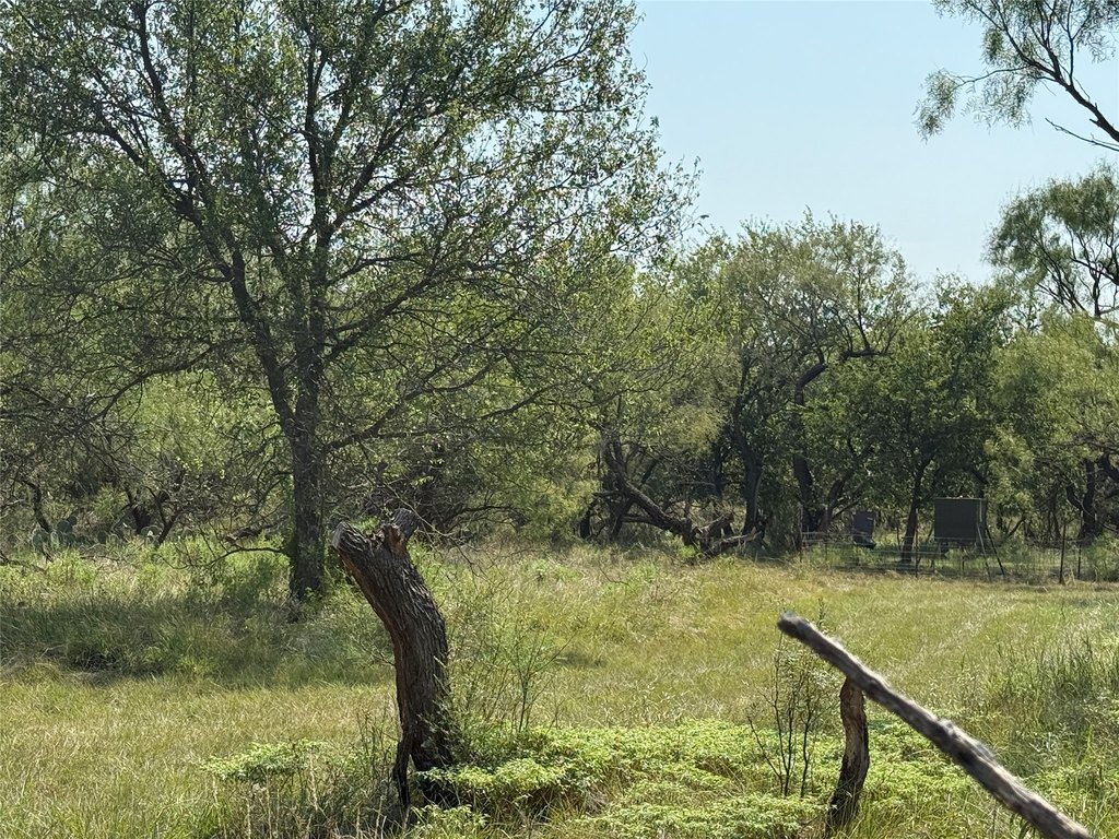 Picture 26