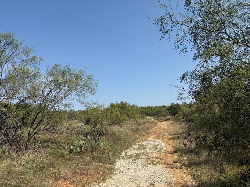 Picture 16
