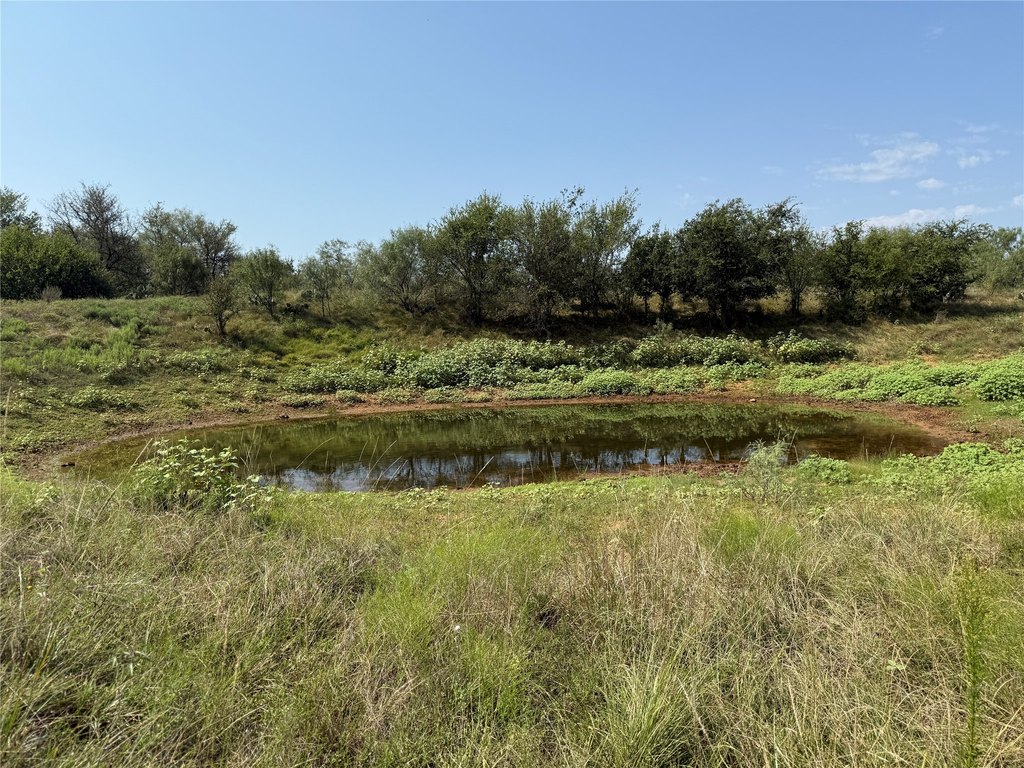 Picture 27