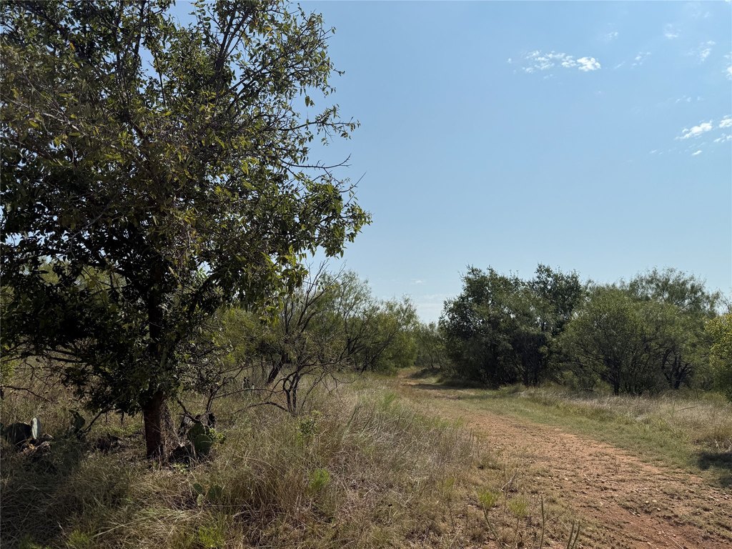 Picture 36