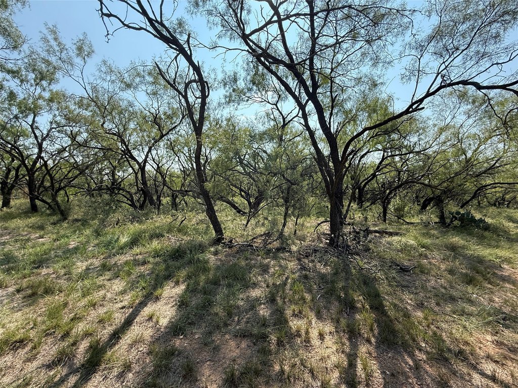 Picture 20