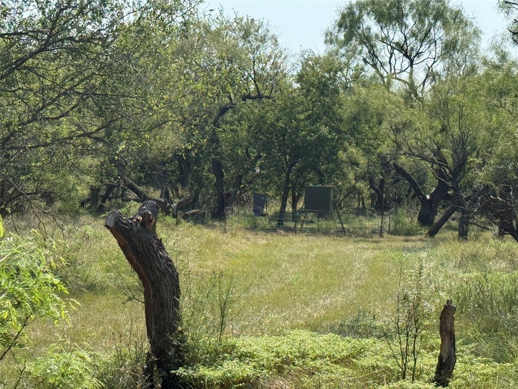 Picture 23