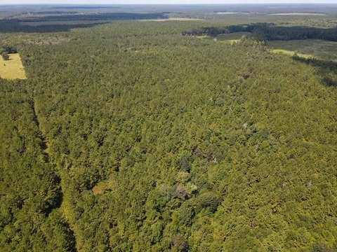 Creekside Hunting and Timber Land